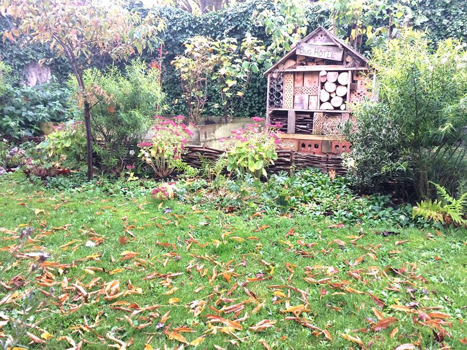 York garden in Autumn