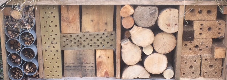 Insect hotel, bug house, wildlife hotel