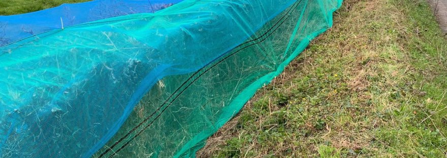 Netted hedgerow, hedgerow netting